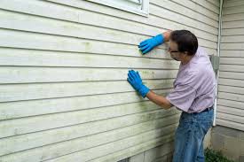 Best Custom Trim and Detailing for Siding  in Adamstown, PA